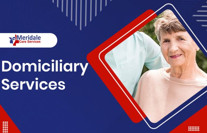 domiciliary services